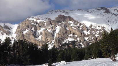 Permalink to:Tossa d’Alp (Berguedà-Catalunya)